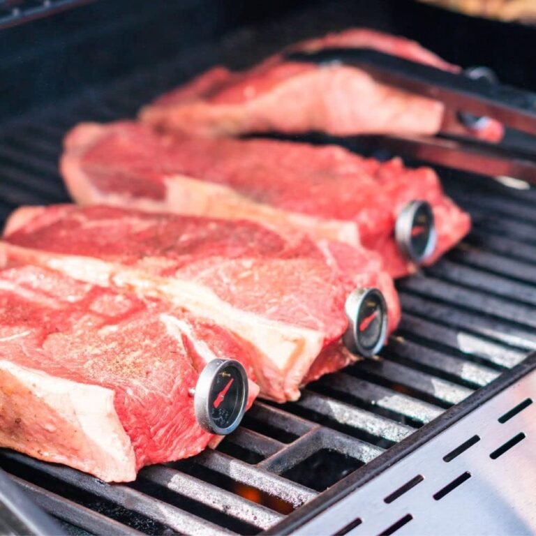 Premium 6 Burner Gas Grill Review