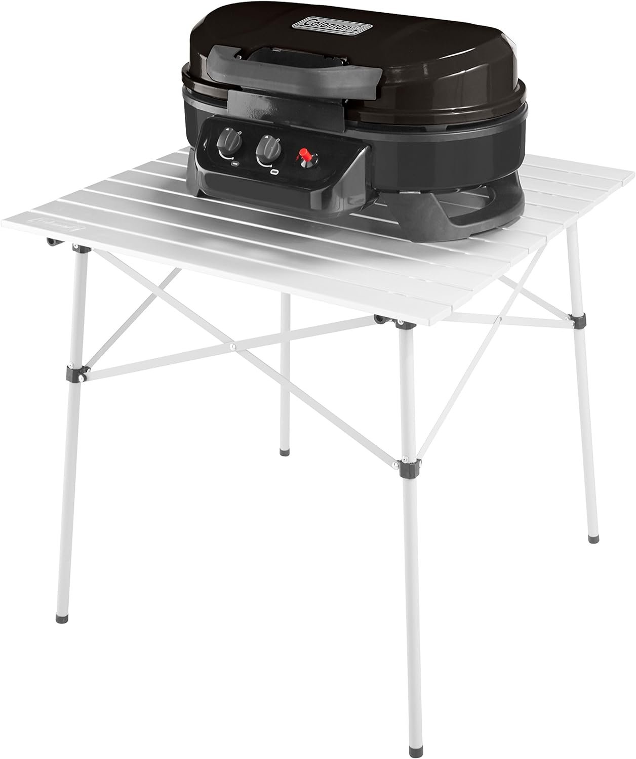 Gas Grill with 2 Adjustable Burners review