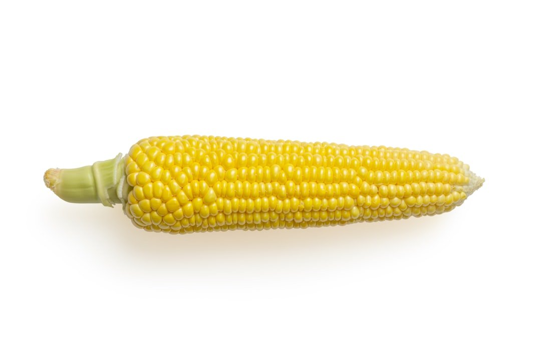 Grilling Corn: Perfecting the Summer Side Dish