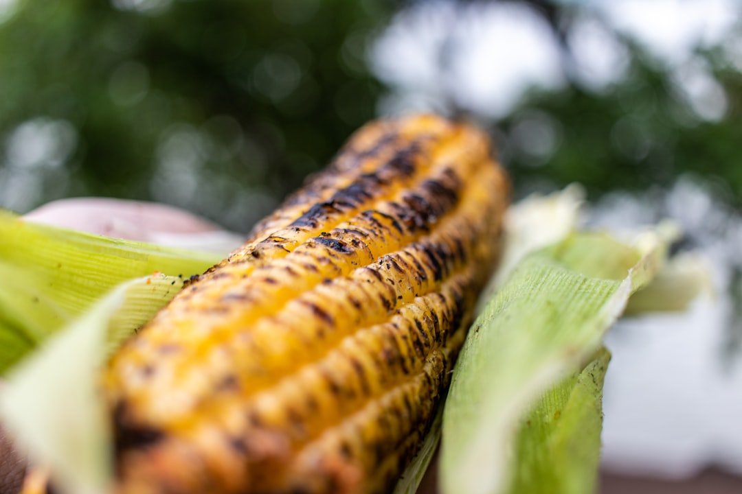 Grilling Perfect Corn on the Cob: A Step-by-Step Guide