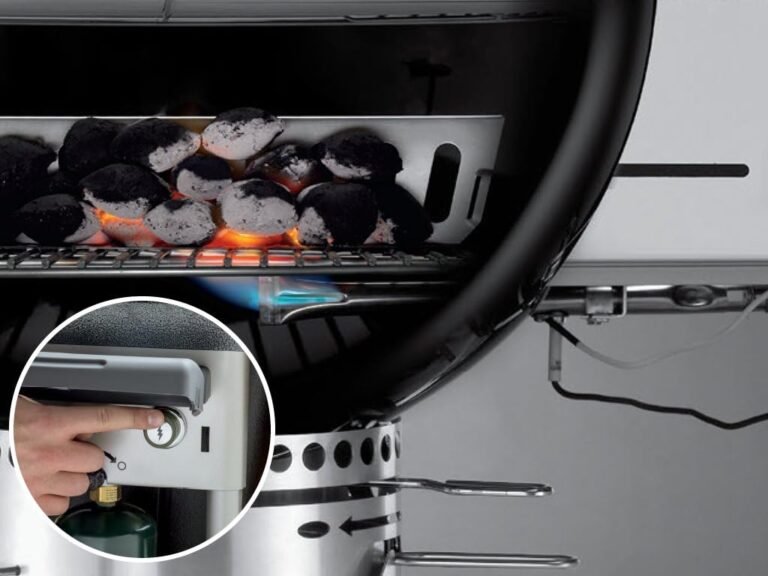 Weber Performer Deluxe Charcoal Grill Review