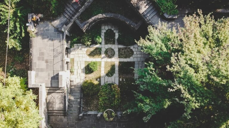 Grilling Perfect Burgers: Tips for Juicy, Flavorful Results