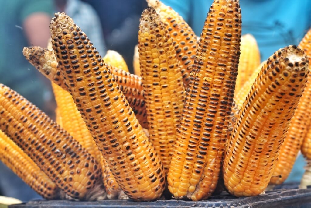 Photo Grilled corn