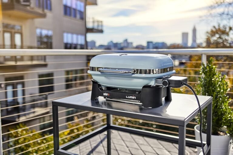 Weber Lumin Outdoor Electric Barbecue Grill Review