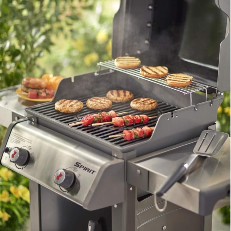 Weber Spirit 200 Grillrost Review