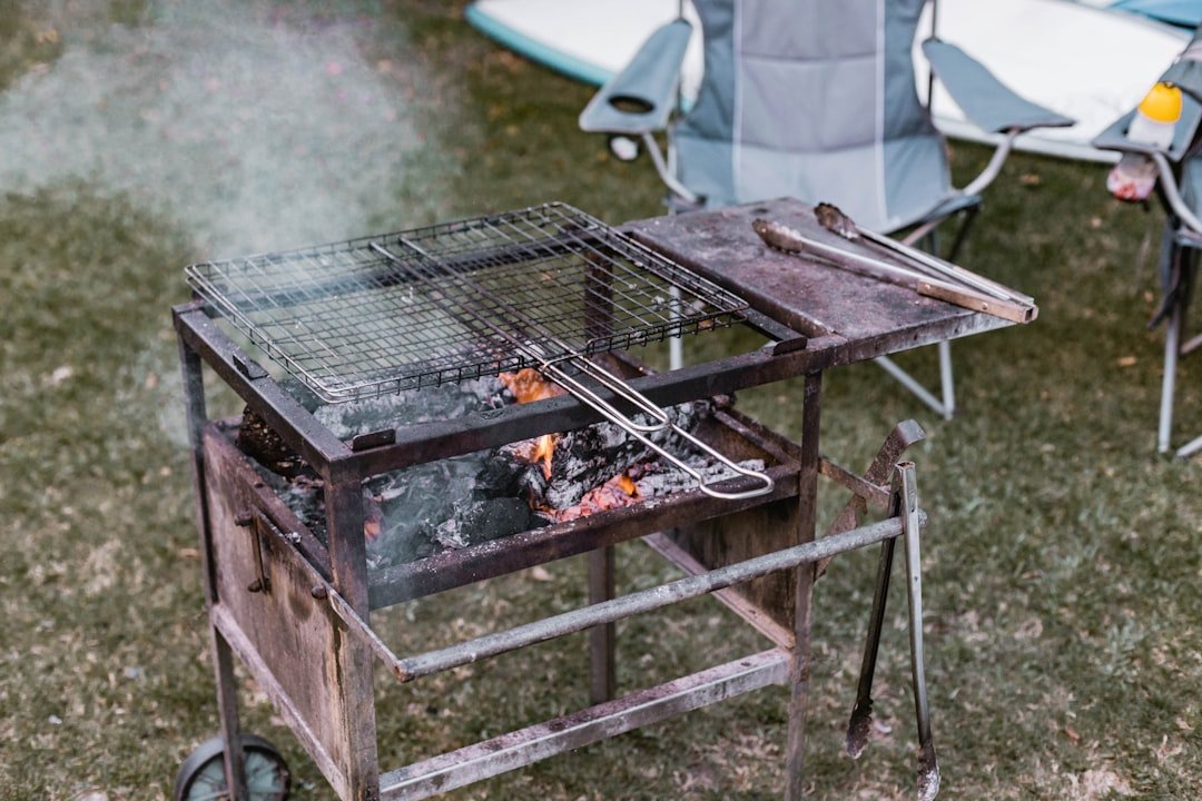 Ultimate Guide to Portable Barbecue Grills