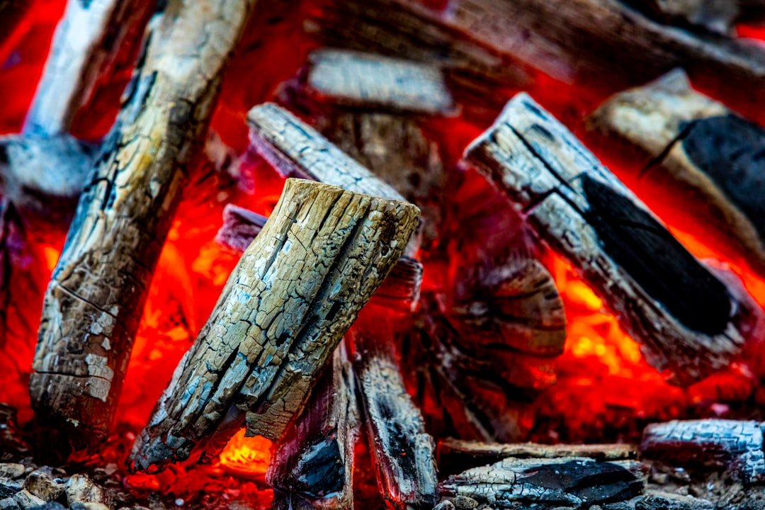 Mastering the Art of Coal Grill Cooking