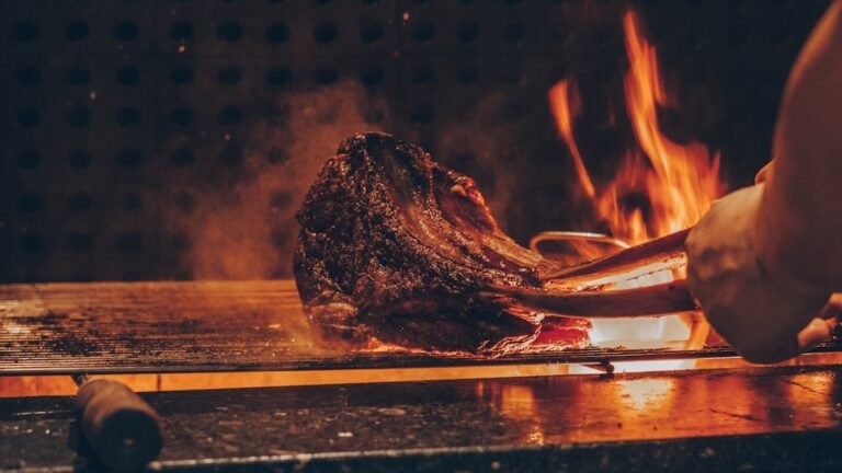 Ultimate Guide to Camp Grills: Choosing the Best Option